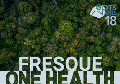 Fresque One Health
